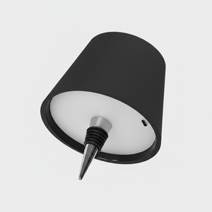 Black and white wall-mounted lamp with a thin spike-like extension on a light gray background